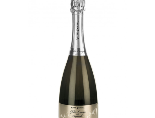Vite colte presenta: il Metodo Classico Alta Langa DOCG Brut “Cinquecento”